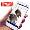 Mouse Prank APK
