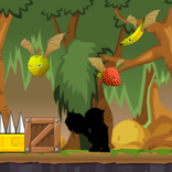 Jungle Runner