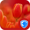AppLock Theme - Tulip Theme APK