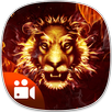 Live Fire Video Photo Background Editor APK
