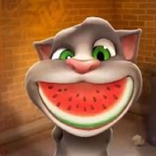 Tips for Talking Tom Cat 2