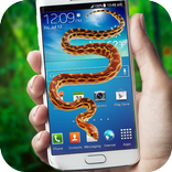Snake in Screen Prank