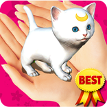 Virtual pet kitten camera 3D