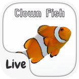 Clown Fish Live Keyboard Theme