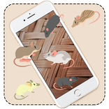 Mouse Run On Screen