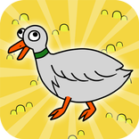 Duck Evolution Life