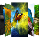 Macaw Parrot Lock Screen
