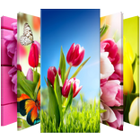 Flowers Tulips Lock Screen