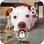 Fancy Screen Lock Dog Face