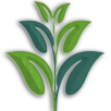 Xikmado APK