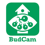 BudCam mobile