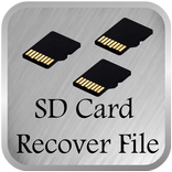 SD Card Recover File