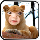 Lion photo masks icon