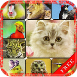 Cute Animal Sounds
