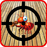 Ant PoP