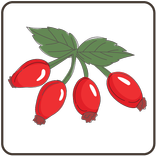 Poisonous Plants