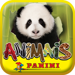 Animais Panini