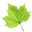 آیکون‌ TreeLogy