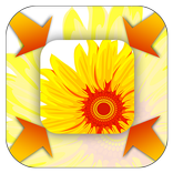 ”Resize Photos