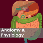 Nursing Anatomy & Physiology icon