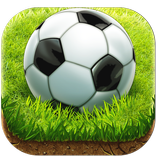 Perfect Soccer