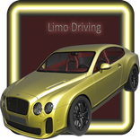 Simulador Limo 2016 Conductor