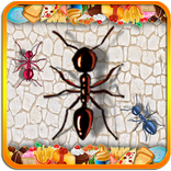Ant Smasher