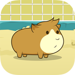 Guinea Pig Evolution - Clicker