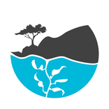 Save Our Shores Debris Tally