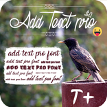 Add Text Pro
