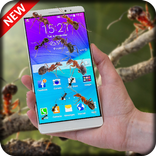 Ants in Phone Prank