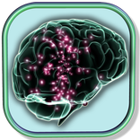 Kids Memory Mind Brain Trainer