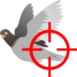 Bird's Shoot