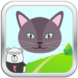 Memo Cat