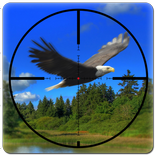 American Wild Hunting