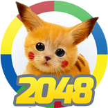 2048 Kittens Edition