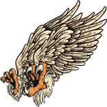 Bird Of Prey