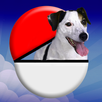 Pocket Puppy GO APK