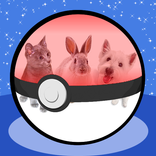 Pocket Pets Go! Puppy Pets