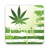 POT LIFE USA
