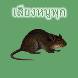 Ratazanas de som