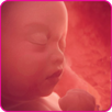 Pregnancy Friend App APK