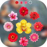 Flower Lock Screen