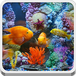 Ocean World