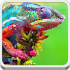 Chameleon APK