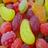 Pro Candy APK