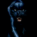 Big Cat