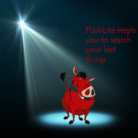 FlashLite