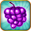 Fruit Blitz Free-APK