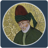 Rumi Sayings